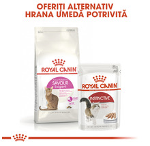 Hrană uscată pentru pisici Royal Canin Exigent 10 kg-thumb-5