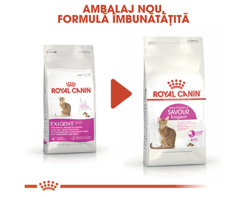 Două pachete de hrană pentru pisici Royal Canin Exigent