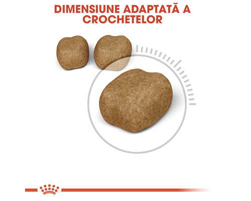 Crochete de hrana pentru caini de dimensiuni adaptate