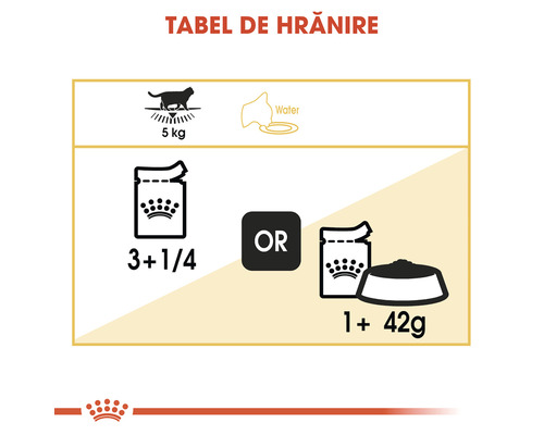 Tabel de hrănire pentru pisici