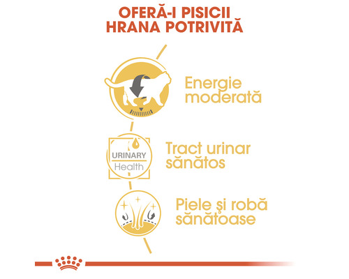 Avantaje hrană pentru pisici: Energie moderată, tract urinar sănătos, piele și blană sănătoase