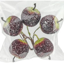 Mere decorative pe ramură în pungă transparentă