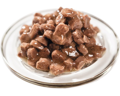 Bucăți de mâncare pentru pisici într-un castron de sticlă