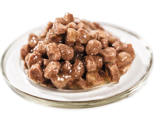 Mâncare pentru pisici în jeleu pe un suport de sticlă