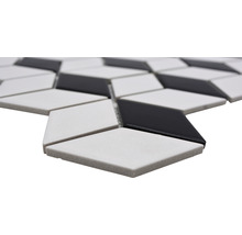 Mozaic piscină ceramic POV 09 negru/alb 26,6x30,5 cm