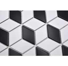 Mozaic piscină ceramic POV 09 negru/alb 26,6x30,5 cm