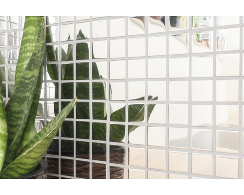 Faianță de perete cu aspect de oglindă și plantă de interior