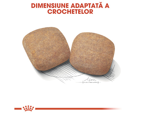 Două bucăți de hrană uscată pentru animale de companie