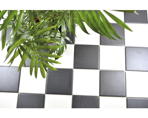 Plantă de interior pe podea cu model de tablă de șah