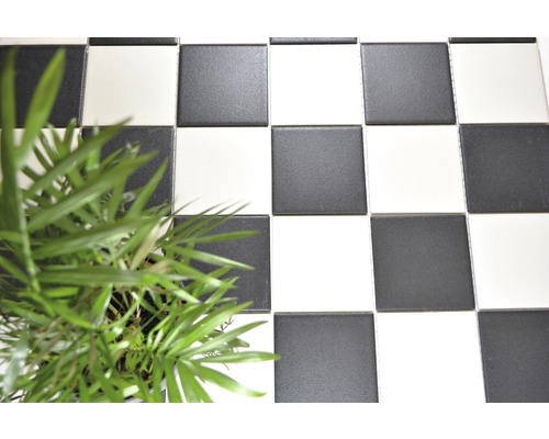 Model de tablă de șah cu plăci de podea și o plantă verde