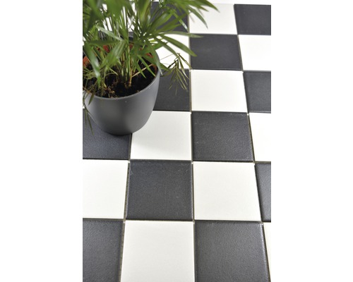 Pardoseală cu model de șah cu plantă în ghiveci