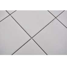 Mozaic piscină ceramic RAT 200 alb 30x30 cm-thumb-4