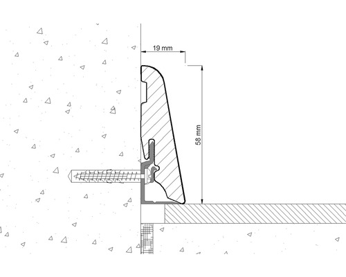 Ilustrație a unei plinte cu dimensiunile de 19 milimetri și 58 milimetri.