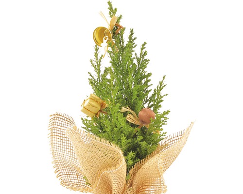 Brad decorativ mic de Crăciun cu ornamente și bandă de iută