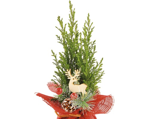 Aranjament decorativ cu chiparos, ren din lemn, con de pin și material roșu