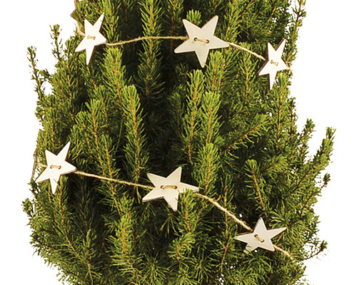 Brad decorativ cu ghirlandă de stele