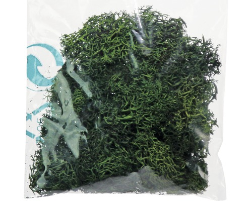 Unitate de ambalare mușchi de pădure pentru decorare
