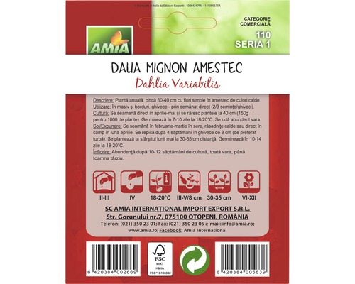 Pachet de semințe amestec Dalia Mignon