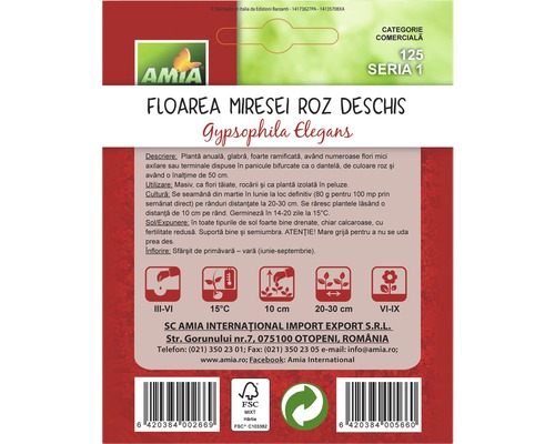 Pachet de semințe Floarea Miresei Gypsophila Elegans