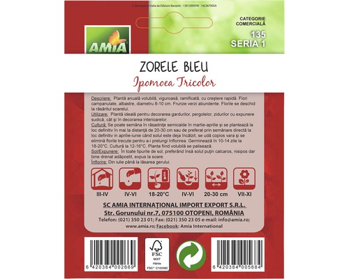 Pachet de semințe Zorele Bleu Ipomoea Tricolor