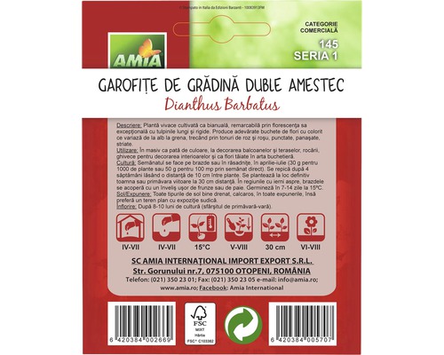 Pachet cu semințe de garofițe de grădină, amestec dublu