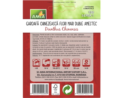 Pachet de semințe pentru garoafe chinezești, amestec de flori duble, Dianthus Chinensis