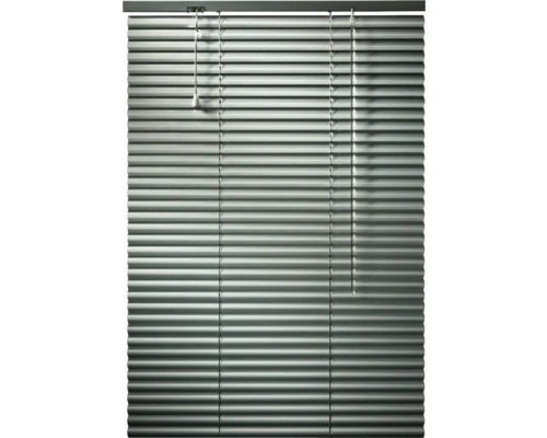Jaluzea din aluminiu, argintie, 60x160 cm Jaluzea din aluminiu, argintie, 60x160 cm