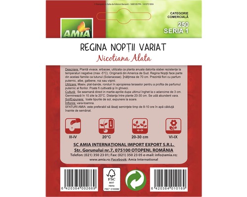 Pachet de semințe Regina Nopții ''Nicotiana Alata''