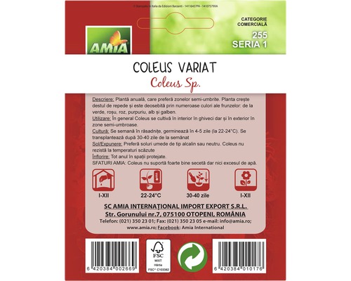 Pachet semințe Coleus Variat