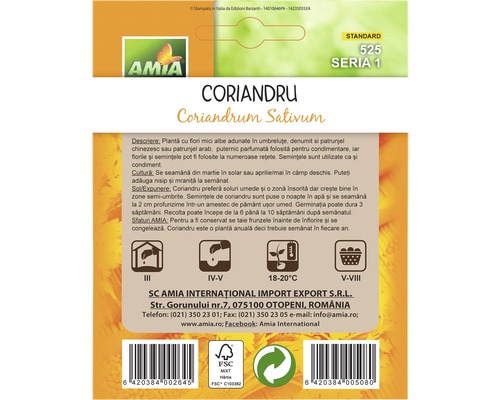 Pachet de semințe de coriandru cu instrucțiuni de semănat și îngrijire