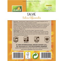 Semințe de salvie Amia-thumb-1