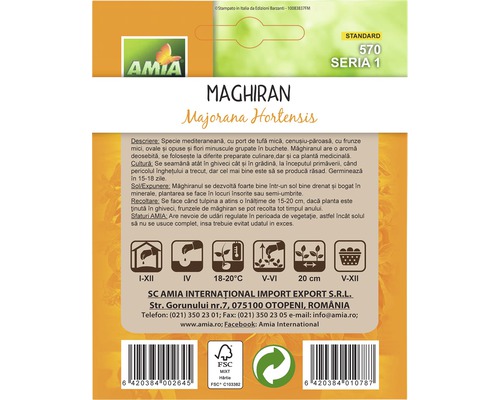 Pachet de semințe Maghiran Majorana Hortensis