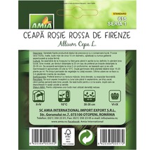 Semințe de ceapă roșie Rossa de Firenze