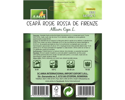 Semințe de ceapă roșie Rossa de Firenze