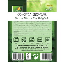 Set de semințe cu conopidă Snowball din specia Brassica Oleracea Var. Botrytis L.
