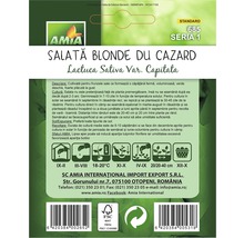 Semințe de salată blonde du Cazard Amia-thumb-1