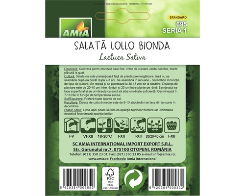 Amia Lollo Bionda Salată Standard 695 Serie 1