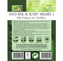 Semințe legume Amia sfeclă roşie