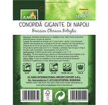 Pachet de semințe Conopida Gigante di Napoli, Brassica Oleracea Botrytis