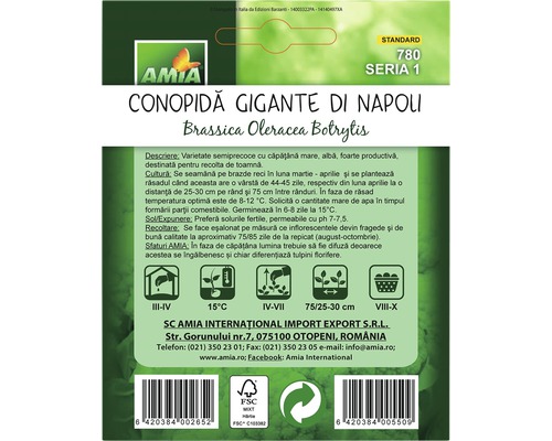 Pachet de semințe Conopida Gigante di Napoli, Brassica Oleracea Botrytis