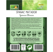 Pachet semințe de spanac Matador