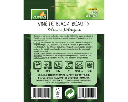 Pachet de semințe vinete Black Beauty