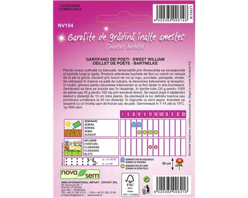 Pachet de semințe pentru amestec de garoafe de grădină înalte