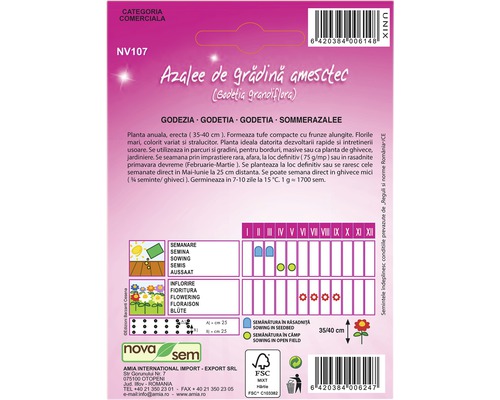 Pachet de semințe azalee de grădină amestec