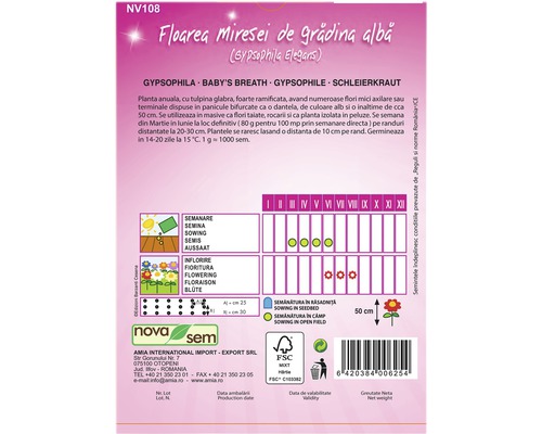Pachet de semințe Floarea miresei cu informații despre semănat, perioada de înflorire și cultivare