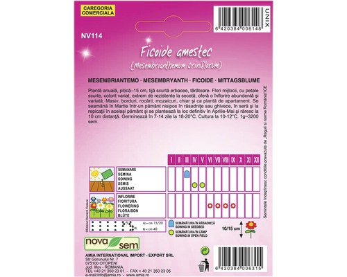 Pachet cu semințe de Ficoide amestec (Mesembryanthemum criniflorum)