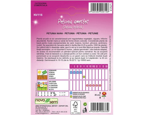 Pachet de semințe Petunia Hybrida cu informații despre însămânțare și perioada de înflorire