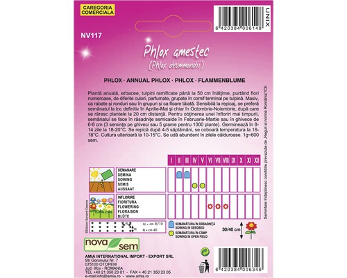 Pachet de semințe de flori Phlox