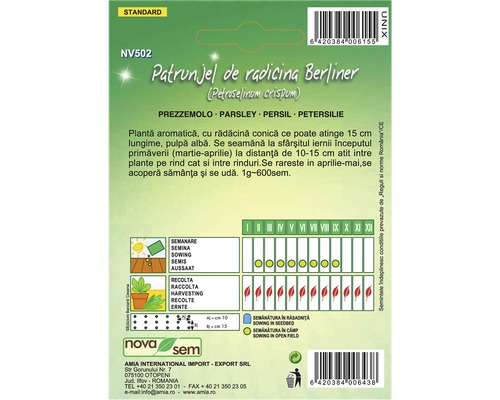 Pliculeț de semințe de pătrunjel de rădăcină Berliner