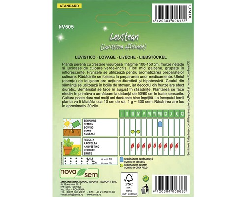 Pachet cu semințe de leuștean